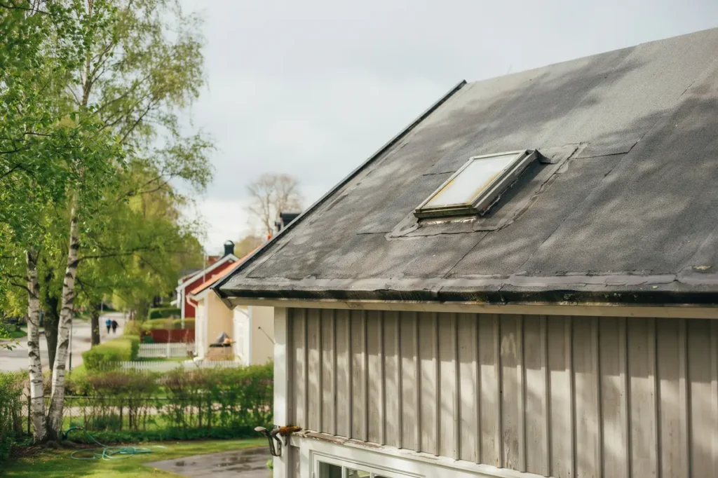 junikoll av taket uppt ck uv skador och uttorkade t tskikt innan semestern